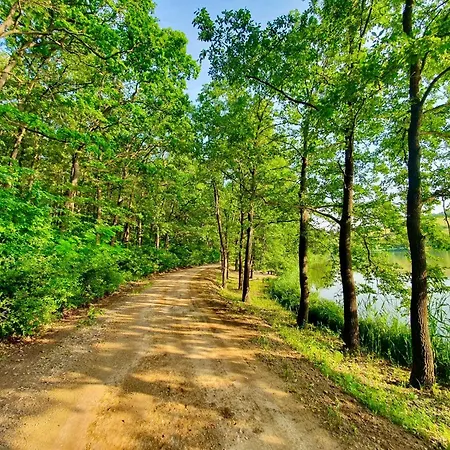 Paradsasvari Sasfeszek *