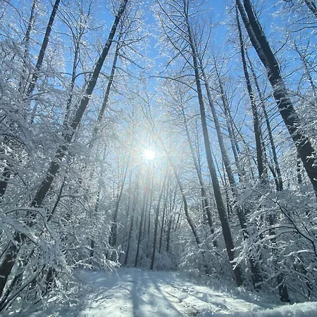 Paradsasvari Sasfeszek