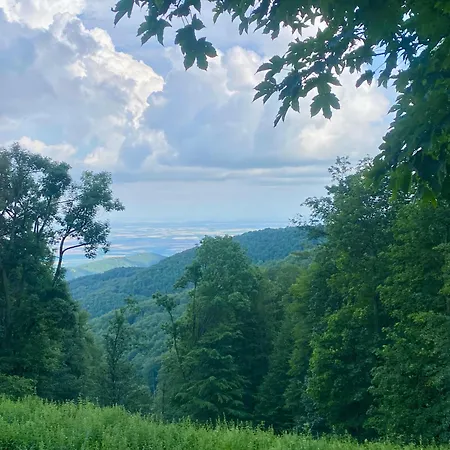 Paradsasvari Sasfeszek * Parád