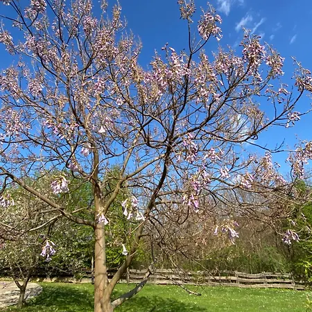 شقة Paradsasvari Sasfeszek *