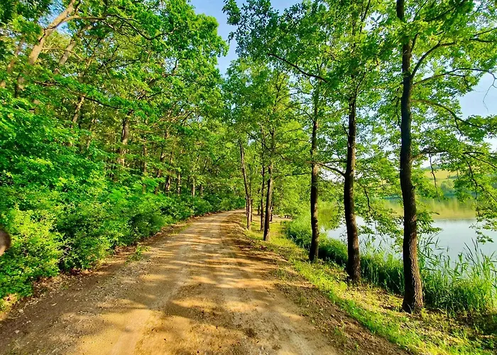 Parádsasvári Sasfészek *