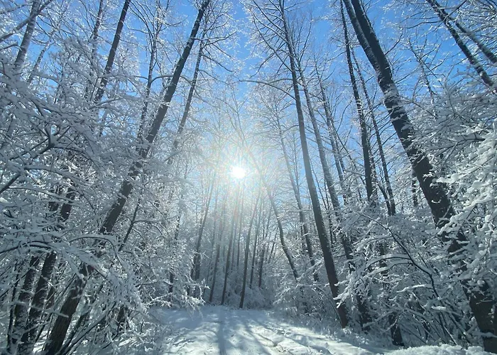 Paradsasvari Sasfeszek