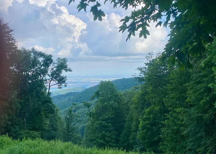 Paradsasvari Sasfeszek * Parád