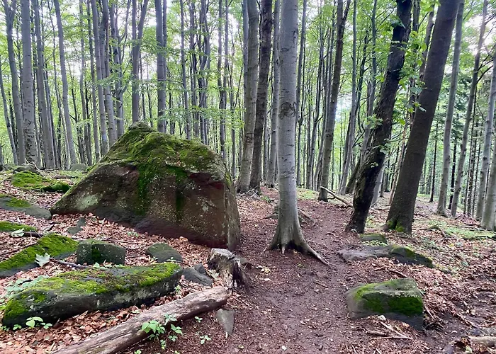 Apartman Parádsasvári Sasfészek *