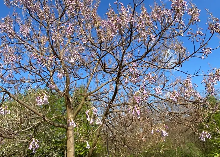 Apartman Parádsasvári Sasfészek *